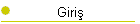 Giriş